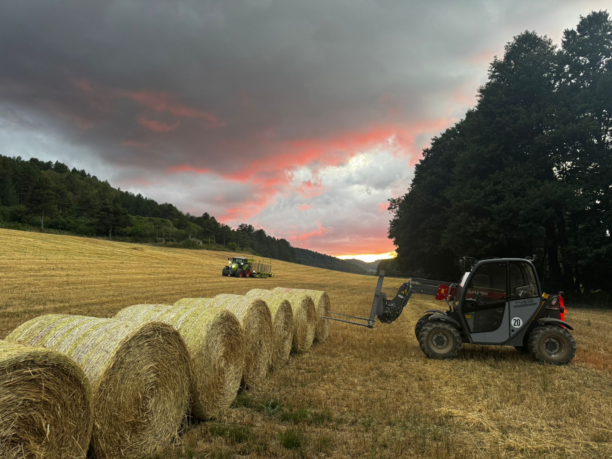 Attrezzature specializzate luglio 2025